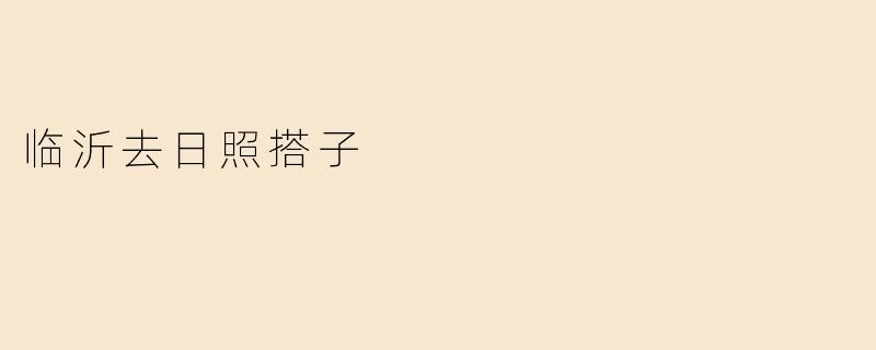 临沂去日照搭子