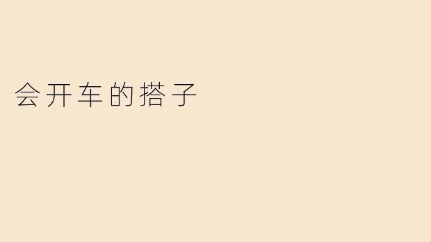 会开车的搭子
