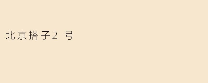 北京搭子2号