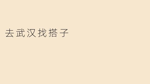 去武汉找搭子