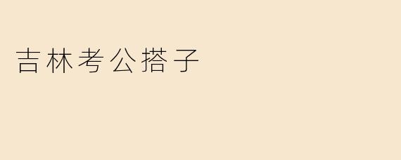 吉林考公搭子