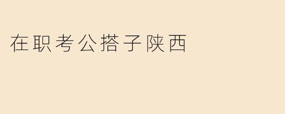 在职考公搭子陕西有哪些建议和经验分享？**
