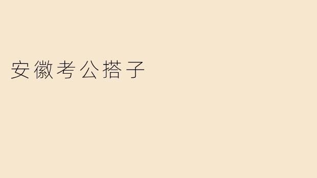 安徽考公搭子