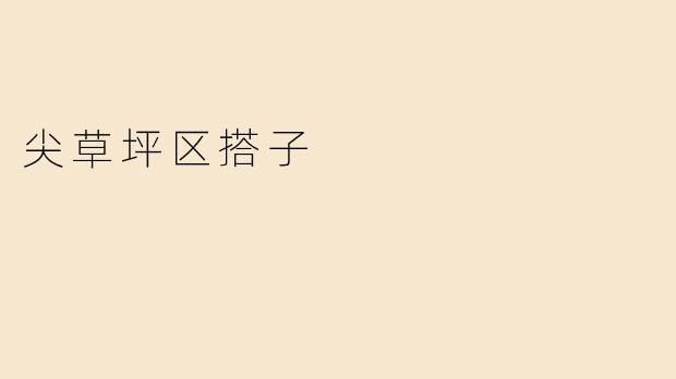 尖草坪区搭子