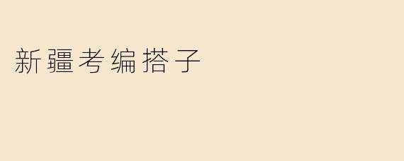 新疆考编搭子