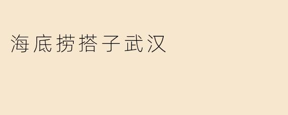 海底捞搭子武汉