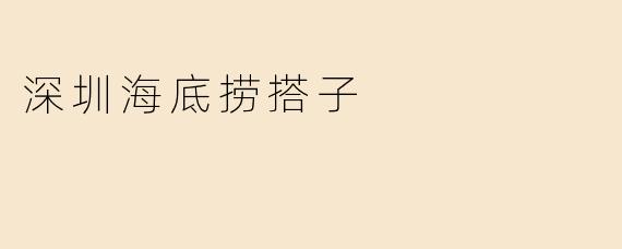 深圳海底捞搭子