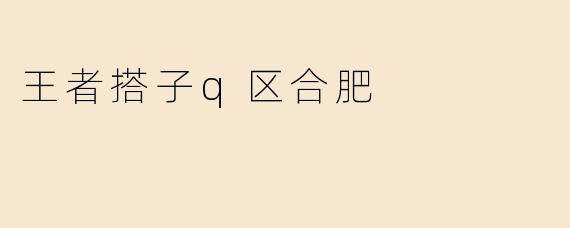 王者搭子q区合肥