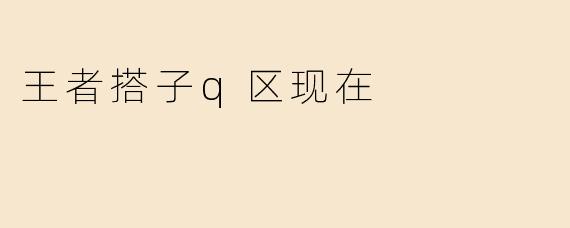 王者搭子q区现在
