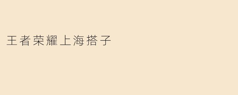 王者荣耀上海搭子