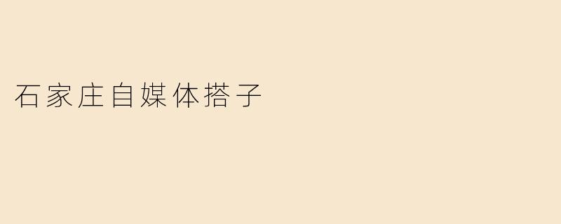 石家庄自媒体搭子