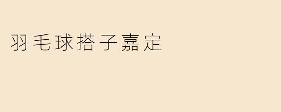 羽毛球搭子嘉定