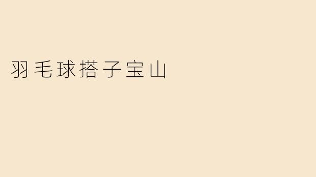 ### 羽毛球搭子宝山：打球的乐趣与友谊的传承