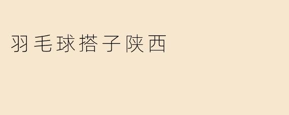 羽毛球搭子陕西