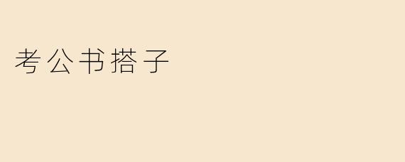 考公书搭子