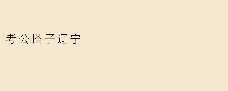 ### 考公搭子辽宁：开启梦想的旅程