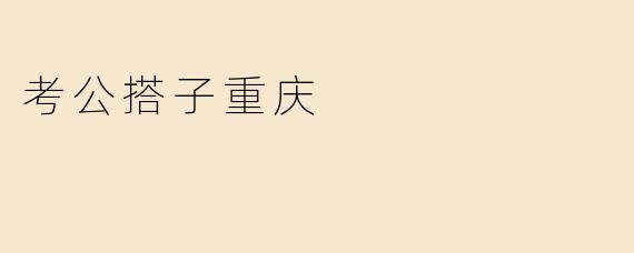 考公搭子重庆