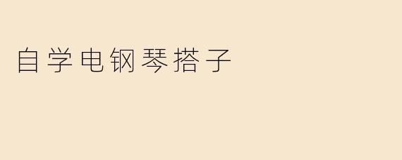 自学电钢琴搭子