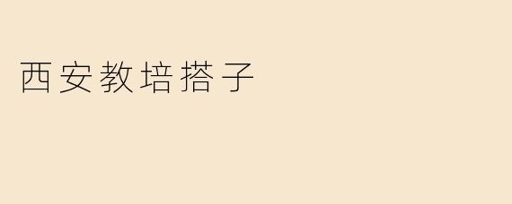 西安教培搭子