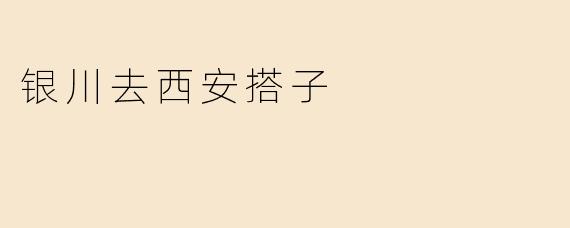 银川去西安搭子
