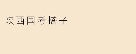 陕西国考搭子