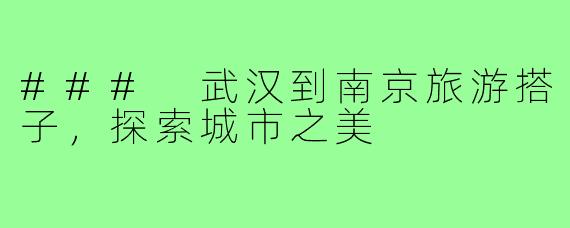 ### 武汉到南京旅游搭子,探索城市之美
