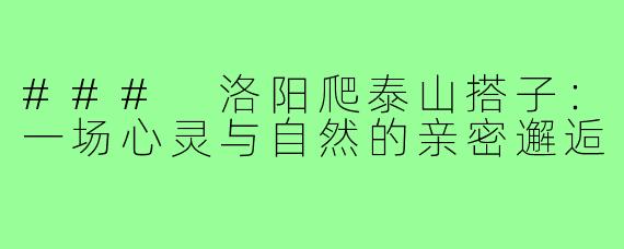### 洛阳爬泰山搭子:一场心灵与自然的亲密邂逅