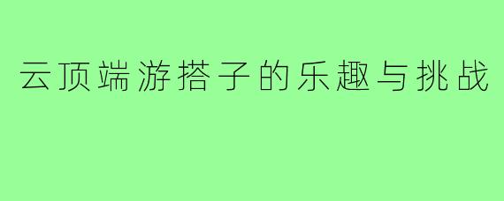 云顶端游搭子的乐趣与挑战
