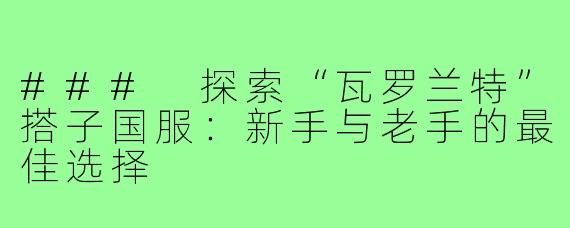 ### 探索“瓦罗兰特”搭子国服：新手与老手的最佳选择
