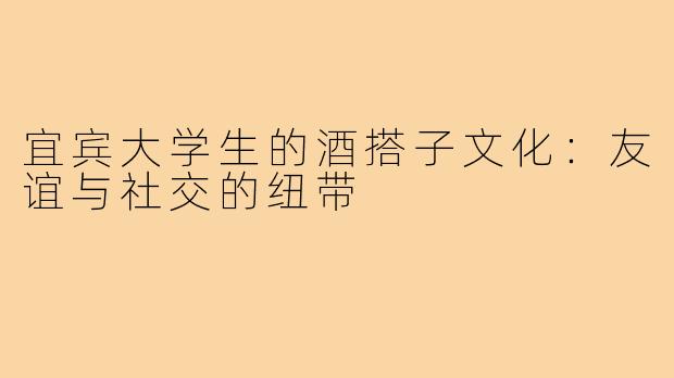 宜宾大学生的酒搭子文化:友谊与社交的纽带