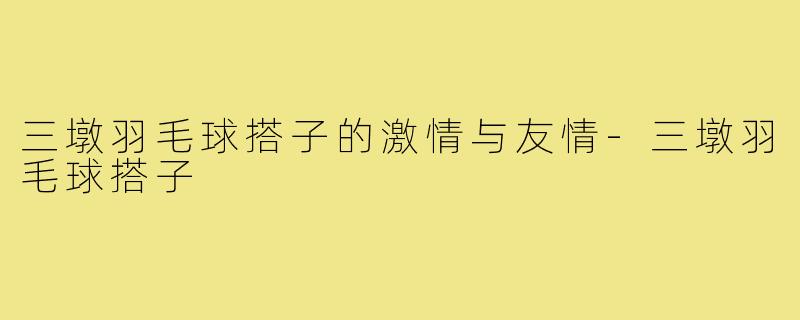 三墩羽毛球搭子的激情与友情-三墩羽毛球搭子