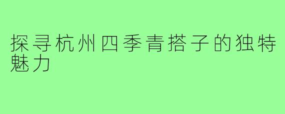 探寻杭州四季青搭子的独特魅力