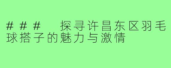 ### 探寻许昌东区羽毛球搭子的魅力与激情