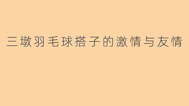 三墩羽毛球搭子的激情与友情