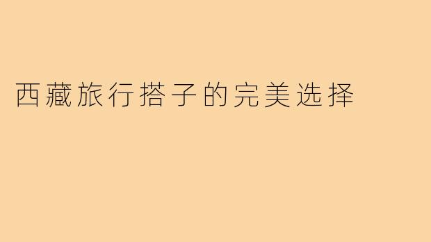 西藏旅行搭子的完美选择
