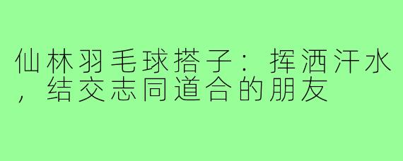 仙林羽毛球搭子:挥洒汗水,结交志同道合的朋友