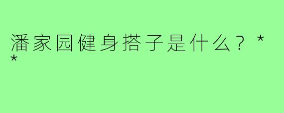 潘家园健身搭子是什么？**