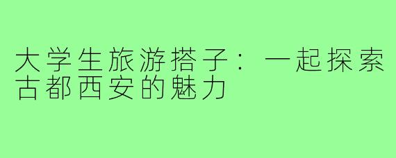 大学生旅游搭子:一起探索古都西安的魅力