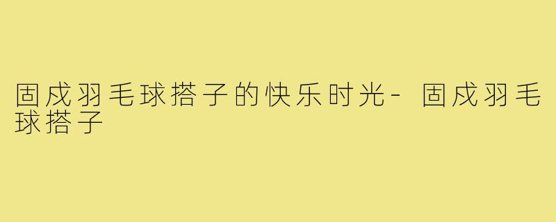固戍羽毛球搭子的快乐时光-固戍羽毛球搭子