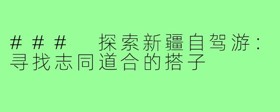 ### 探索新疆自驾游:寻找志同道合的搭子