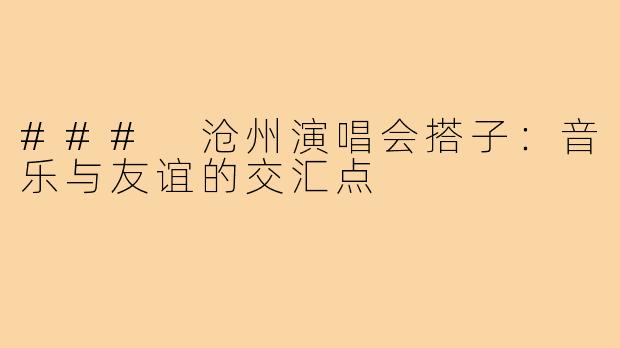 ### 沧州演唱会搭子：音乐与友谊的交汇点