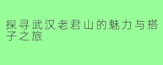 探寻武汉老君山的魅力与搭子之旅