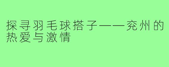 探寻羽毛球搭子——兖州的热爱与激情
