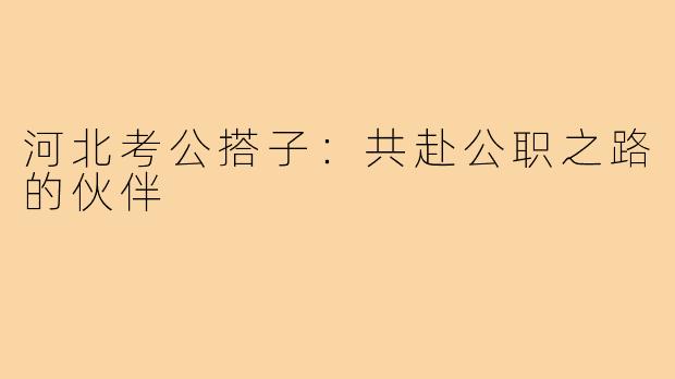河北考公搭子:共赴公职之路的伙伴