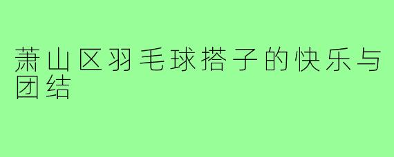 萧山区羽毛球搭子的快乐与团结