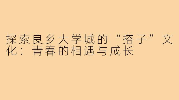 探索良乡大学城的“搭子”文化:青春的相遇与成长