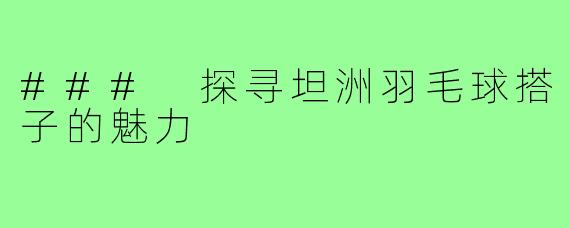 ### 探寻坦洲羽毛球搭子的魅力