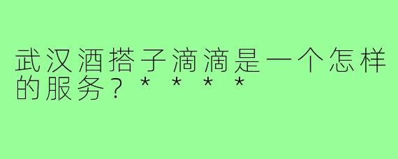 武汉酒搭子滴滴是一个怎样的服务？****