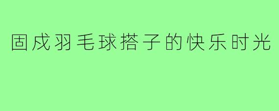 固戍羽毛球搭子的快乐时光