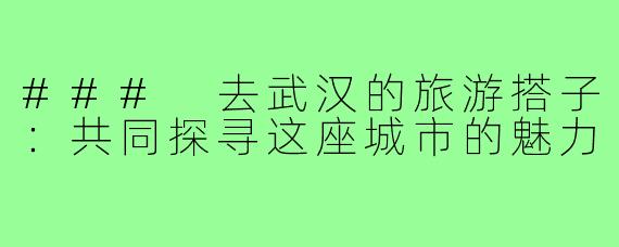 ### 去武汉的旅游搭子：共同探寻这座城市的魅力